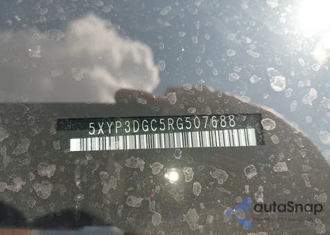 2024 Kia Telluride Ex z USA, uszkodzony, nr VIN 5XYP3DGC5RG507688